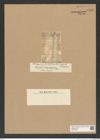 Diatomeae indet. Zeichnungen Sammlung Grunow Nr. 6995 (NHMW-BOT-W0375905)